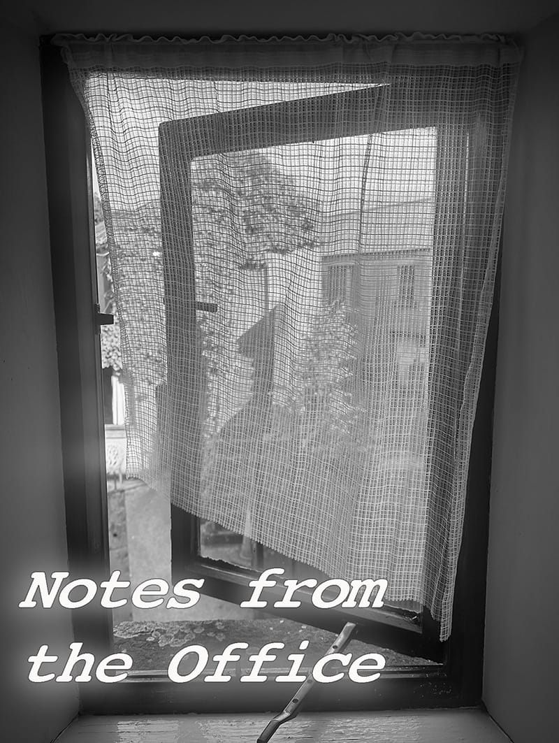 A Quiet July