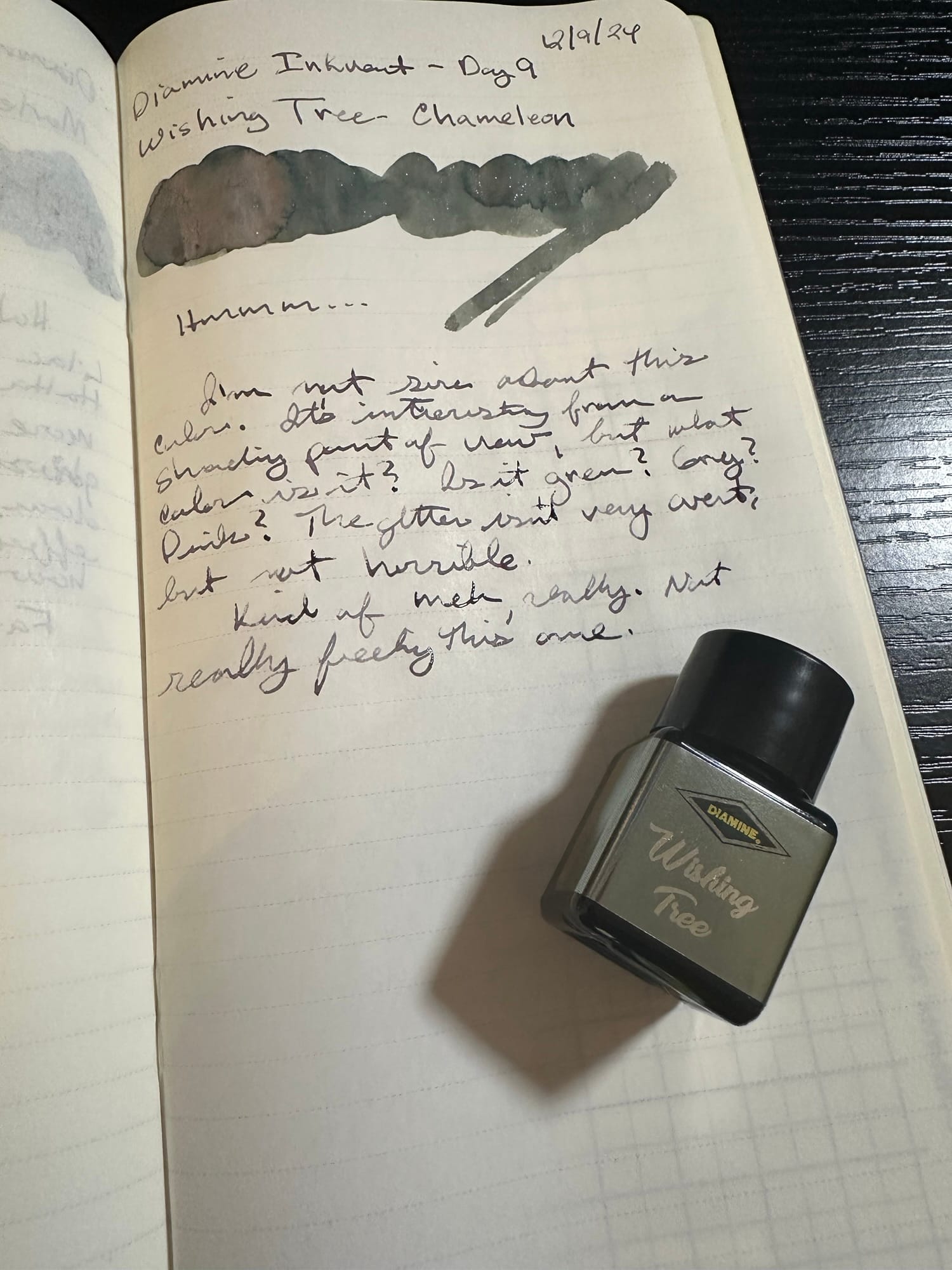 Diamine Inkvent Calendar -- Day 9