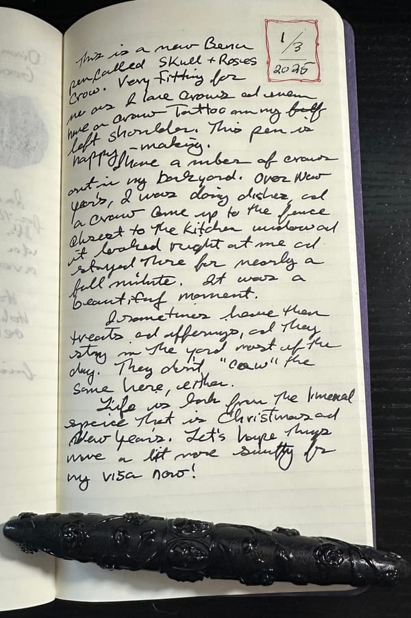 Fountain Pen Thoughts - 1/3/25