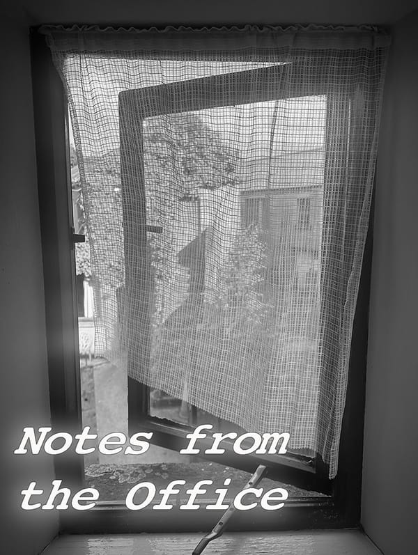 Musings for a Summer's Night